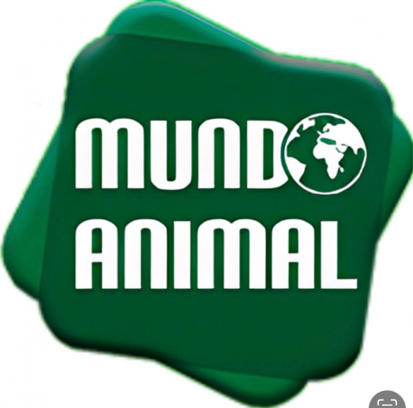 Imagem 3